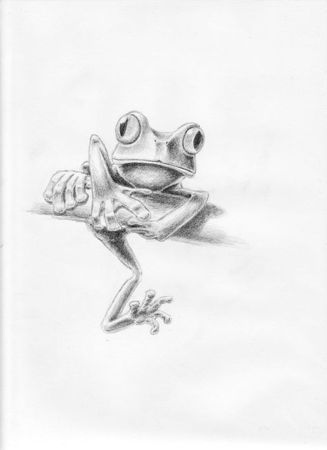 Drawings Of Frogs, Simple Pencil Drawings, Red Eyed Frog, Tree Frog Tattoos, Frog Sketch, Whites Tree Frog, Frog Tattoo, Red Eyed Tree Frog, Frog Tattoos