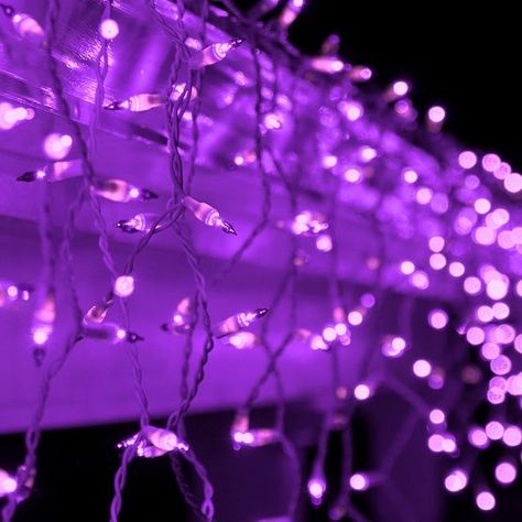 Cozy Purple Aesthetic, Purple Christmas Aesthetic, Avery Aesthetic, Purple Christmas Lights, Midnight Color, Christmas Purple, Purple Lights, Purple Wallpapers, Instagram Covers