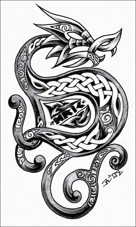 Tribal-Dragon-30 Norwegian Dragon Tattoo, Leatherwork Projects, Viking Dragon Tattoo, Knot Drawing, Tatoo 3d, Celtic Dragon Tattoos, Dragons Tattoo, Pyrography Designs, Symbole Viking