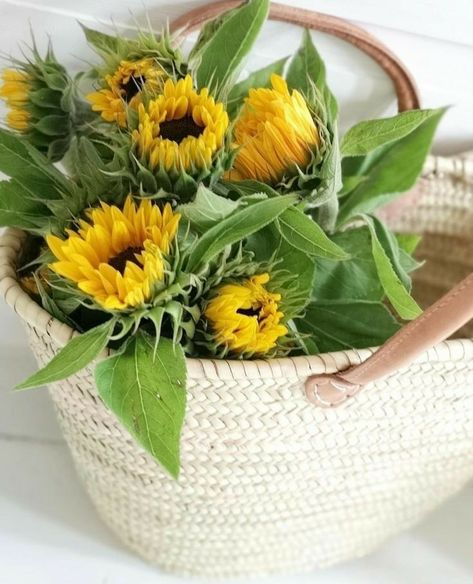 Sunflower Farm, Sunflower Garden, Sunflower Fields, Farmhouse Kitchen Decor, Sunflower, Kitchen Decor, Cottage, Table Decorations