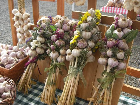 Garlic braids omg I have to get my garlics into the ground!!!!!!!! Braiding Garlic, Braided Garlic, Garlic Braid, Garlic Garden, Garlic Farm, Root Cellars, Vegetable Bouquet, Garlic Flower, Hardneck Garlic