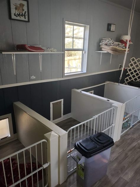 Dog Room Kennel, I’m Home Dog Boarding, Indoor Kennels For Dogs, Dog Bunk Beds, Dog Room Design, Dog Boarding Ideas, Animal Shelter Design, Kennel Ideas Outdoor, Pet Daycare