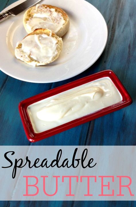 Spreadable Butter Recipe, Spreadable Butter, Dollar Diy, Butter Brands, Canned Food Storage, Diy Mixes, Stick Butter, Cinnamon Butter, Homemade Condiments