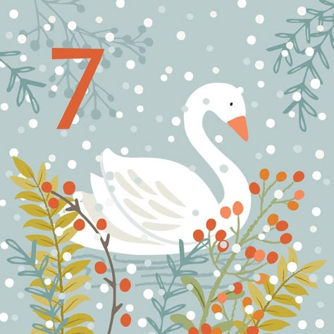 Day 7 #advent #aventcalendar #christmasadvent #swan #swanillustration #snow #december #snowiscoming #cold #instalike #christmas #illustration #swansaswimming #klarahawkins Christmas Tree Woodland, Modern Christmas Illustration, Christmas Swan, Painting Greeting Cards, Swan Illustration, Modern Art Drawing, Flora Waycott, Watercolor Christmas Cards Diy, December Days