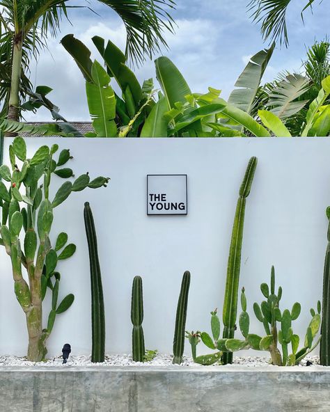 Florida Courtyard Ideas, Tulum Backyard Ideas, Bali Landscape Design, Cactus Garden Design, Tropical Minimalist, Bali Garden, Modern Villas, Real Estate Guide, Canggu Bali