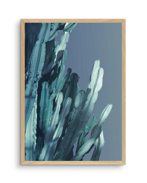 Cactus In Blue No 2 Art Print & Poster Teenage Boys Room, Moody Art, Small Framed Art, Statement Wall, Posters Framed, Unframed Art Prints, Shop Wall Art, Shop Wall, Extra Large Wall Art