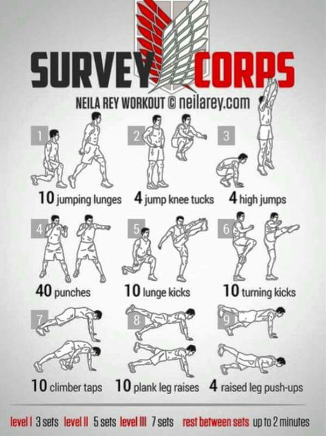 Well Nerdy Workout, Memes About Work, Neila Rey Workout, Superhero Workout, Survey Corps, Martial Arts Workout, Workout Without Gym, Abs Workout Routines, Gym Memes