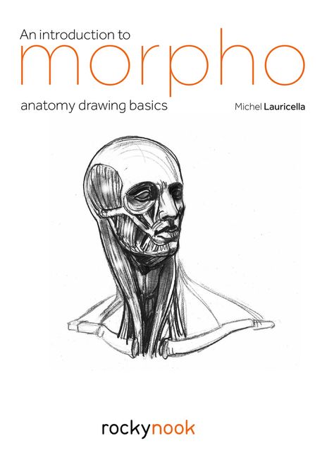 Anatomy Learning Drawing, Morpho Anatomy For Artists, Morpho Anatomy, Anatomy Books For Artists, Drawing Fundamentals, Drawing Book Pdf, Art Exercises, Drawing Proportions, Anatomy Images