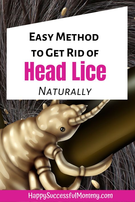 Natural Lice Remedies, Getting Rid Of Nits, Essential Oils For Lice, Itchy Head, How To Treat Lice, Lice Nits, Lice Remedies, Lice Shampoo, Hair Lice