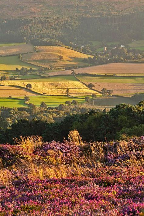 Late Afternoon Sun On Luccombe Church, Somerset, England British Countryside Wallpaper, Bluebeards Castle, Rural England, England Countryside, Somerset England, Afternoon Sun, British Countryside, Late Afternoon, English Countryside