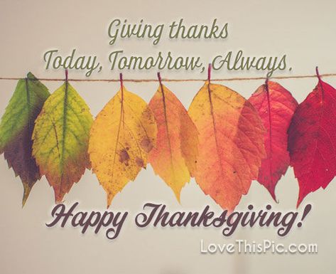 Give Thanks Today Tomorrow And Always Pictures, Photos, and Images for Facebook, Tumblr, Pinterest, and Twitter Thanksgiving Images For Facebook, Thanksgiving Quotes Family, Happy Thanksgiving Pictures, Happy Thanksgiving Images, Galatians 5 22 23, Spirit Signs, Galatians 5 22, Thanksgiving Messages, Thanksgiving Photos