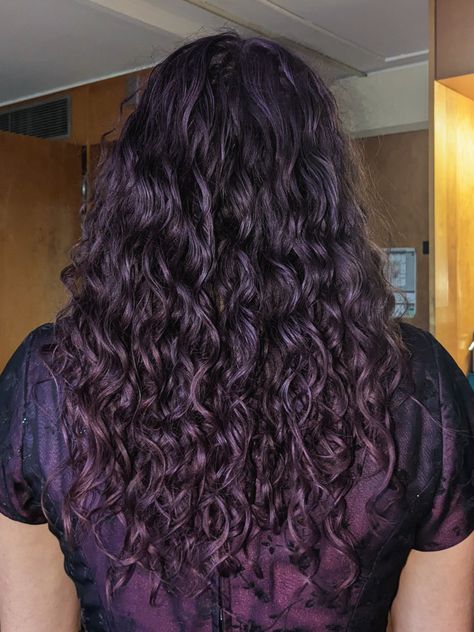 purple curly hair Dark Purple Hair Curly, Purple Highlights Curly Hair, Violet Curly Hair, Dark Purple Curly Hair, Purple Hair Curly, Putple Hair, Purple Curly Hair, Curly 3c, 2c Hair