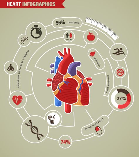 The Heart Coronary Artery, Health Images, Health Disease, Lower Your Cholesterol, Human Heart, Physical Activity, Heart Health, Social Events, Blood Flow