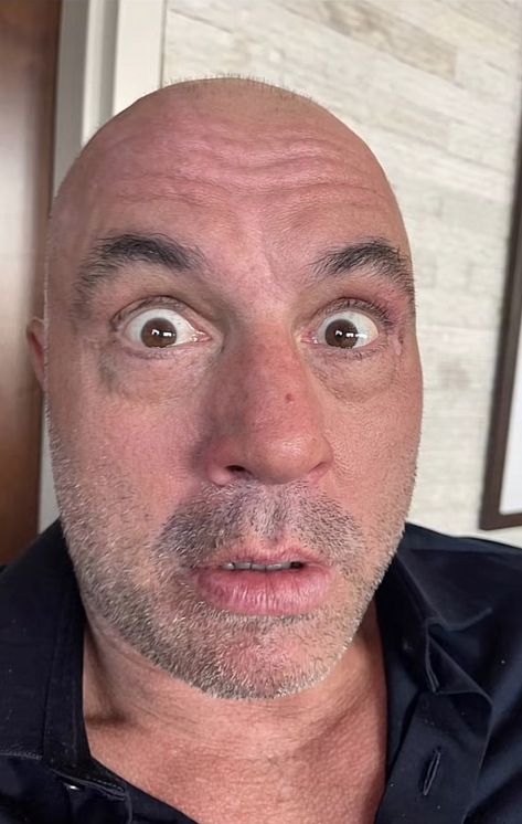 Boe Jogan Joe Rogan Wallpaper, Mike Love, Phone Water, Having No Friends, Joe Rogan, I Have No Friends, Water Proof, Love Him, Water