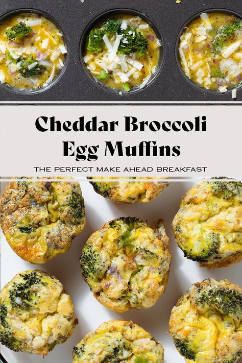 These Cheddar Broccoli Egg Muffins are cheesy, filling, and so easy to make! If you want to incorporate some new veggies into your savory egg breakfast, try steamed broccoli! It goes really well with the eggs and cheddar that melts beautifully into it. They're the perfect make-ahead breakfast, freezer-friendly, and great on the go! Broccoli Egg Muffins, Broccoli Eggs, Salmon Pesto Pasta, Pesto Tortellini Salad, Cheddar Broccoli, Breakfast Cupcakes, Savory Breakfast Recipes, Pesto Tortellini, Pesto Salmon