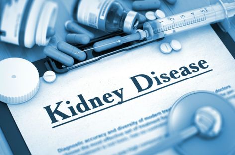 Kidney Health: Elderly People Can Manage Their Kidney Health Internal Medicine Doctor, Pediatric Care, Senior Home Care, Medicine Doctor, Kidney Health, Family Medicine, Internal Medicine, Home Health Care, Elderly Care