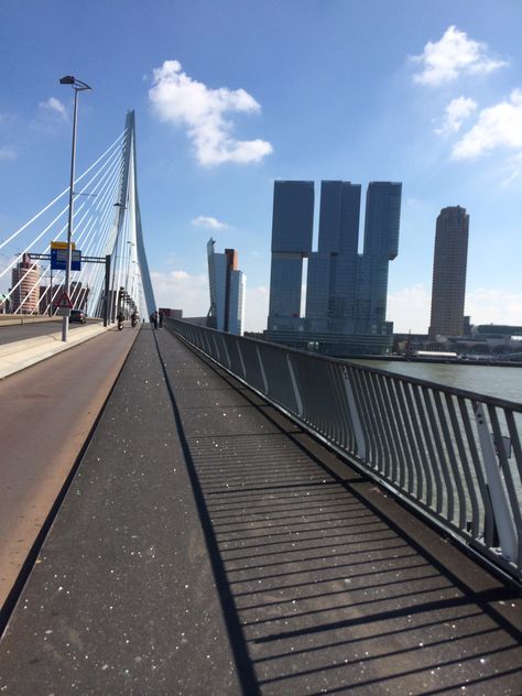 Erasmus bridge Erasmus Bridge, City View, Rotterdam, Netherlands, San Francisco Skyline, Bridge, New York Skyline, San Francisco, New York