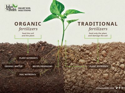 Soil Infographic Food Compost, Soil Scientist, Black Soil, Healthy Soil, Natural Farming, Compost Tea, Agriculture Education, Plant Nutrients, Nutritious Food