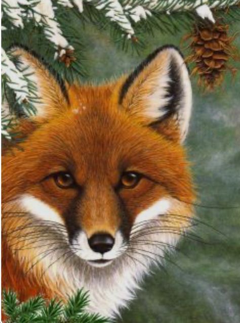 Fox Paintings, Rustic Fox, Farm Animal Paintings, Animal Paintings Acrylic, Fox Artwork, Fox Images, Fox Drawing, Fall Art Projects, Beautiful Scenery Photography