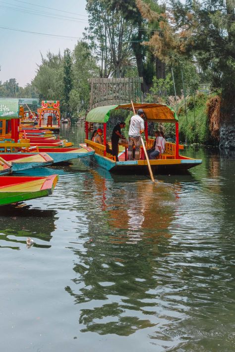 Best Things To Do In Mexico City Mexico Visiting Lake Xochimilco Boat Tour From City Mexico City Museums, Lake Xochimilco, Mexico City Vacation, Mexico City Food, Things To Do In Mexico, Living In Mexico City, Monte Alto, Visiting Mexico City, America Trip