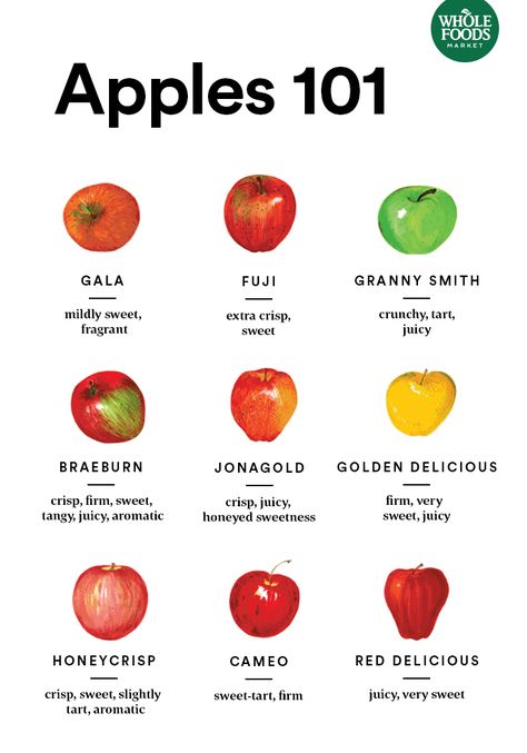 From Jonagold to Fuji, learn what each type of apple has to offer so you can pick the best variety for your next pie, applesauce or whatever else you’re baking. Cooking Apples, Types Of Apples, Chai Time, Sleepy Time, High Noon, Food Info, Whole Foods Market, Granny Smith, Food Facts