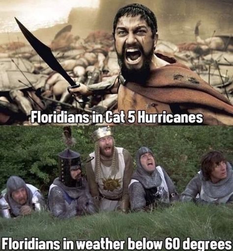 23 Freakishly Funny Florida Memes & Headlines - Memebase - Funny Memes Cold Weather Memes, Florida Funny, Weather Memes, Funny Weather, Country Quotes, Memes Of The Day, Fresh Memes, Cute Memes, Popular Memes