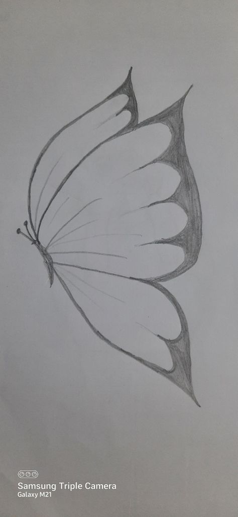 Sketsa Flora Simple, Stilasi Fauna, Butterfly Art Drawing, Cross Hatching, Butterfly Drawing, Pencil Art Drawings, Butterfly Art, Wrist Tattoos, Pencil Art