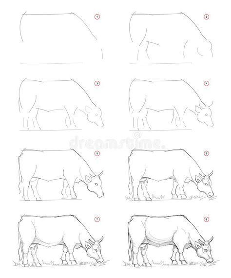 Cow Drawing Easy, Draw A Cow, Cow Sketch, Still Life With Apples, Cow Illustration, Cow Drawing, Draw Step By Step, How To Draw Steps, Draw Animals