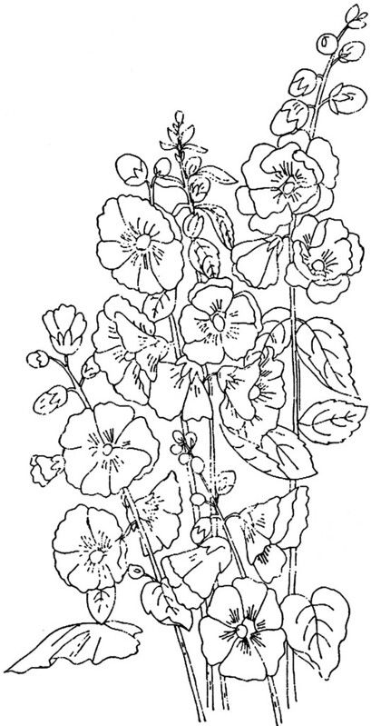 Hollyhock Embroidery, Embroidery Motif, Drawing Flowers, Botanical Drawings, Digi Stamps, Line Drawings, Drawing Board, Coloring Pictures, Coloring Book Pages