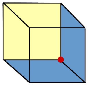 The Necker Cube. Is the red circle at the near or far corner. For most people the red circle switches back & forth to those two locations. Necker Cube, Cube Illusion, Teacher Info, Teaching Drawing, Illusion Drawings, Optical Art, Red Circle, Painting Tips, Op Art