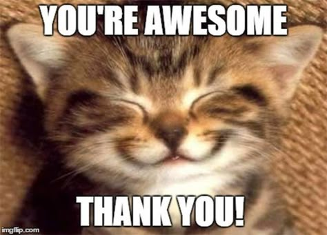 101 Thank You Memes - "You're awesome. Thank you!" Funny Thank You Quotes, Thank You Memes, Thank You Pictures, Image Meme, Funny Thank You, Thank You Images, Super Funny Pictures, Thank You Quotes, You Meme