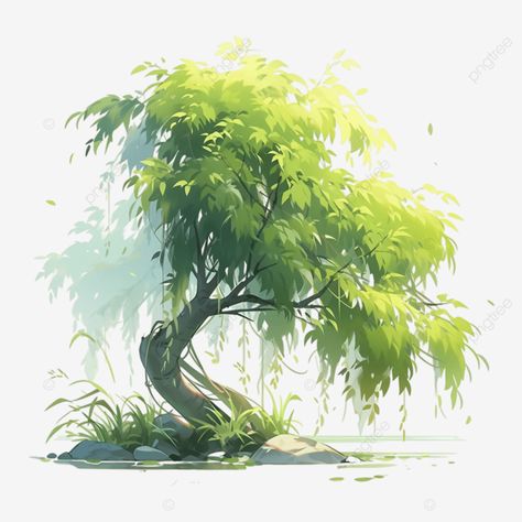 willow tree spring illustration willow spring green png Vector Tree Illustration, Fantasy Willow Tree, Willow Tree Illustration, Willow Illustration, Willow Tree Drawing, Green Png, Green Illustration, Spring Illustration, Tree Vector