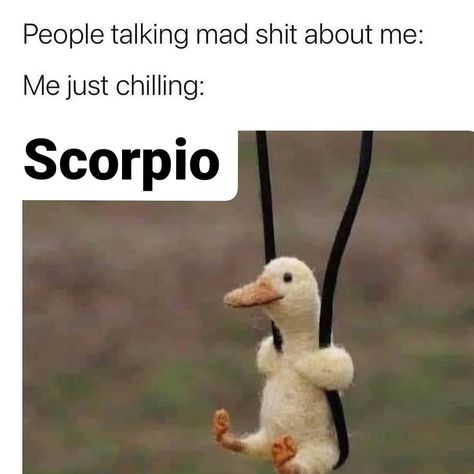 Scorpio Memes Funny, Carla Vibes, Scorpio Meme, Scorpio Things, Scorpio Funny, Scorpio Love, Introvert Humor, Funny Cartoon Pictures, Sarcasm Only