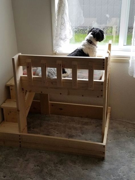 Loft Bed With Dog Bed Under, Unusual Beds Unique, Diy Dog Bunk Beds For Large Dogs, Diy Dog Loft Bed, Dog Bed Under Desk, Bunk Beds For Dogs, Dog Loft Bed, Dog Window Bed, Diy Dog Bunk Bed