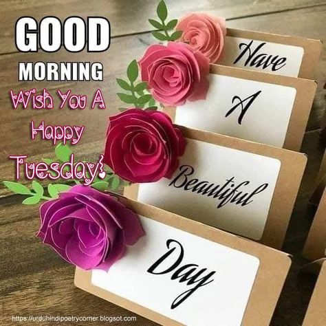 Good morning!☀️ If yesterday was good, today will be better. Happy Tuesday!💋💜 Good Morning Wish, Happy Tuesday Images, Tuesday Quotes Good Morning, Tuesday Greetings, Hello Good Morning, Good Morning Wishes Friends, Good Morning Romantic, Morning Hugs, Good Morning Hug