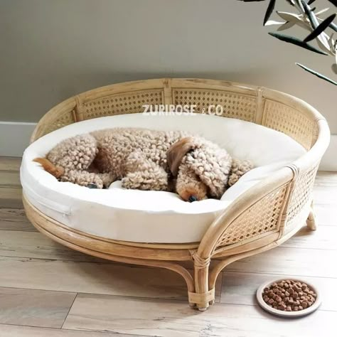 heydjangles's Wicker Dog Beds Product Set on LTK Boho Dog Bed, Wicker Dog Bed, Stylish Dog Beds, Dog Lounge, Cute Dog Beds, Basket Dog Bed, Boho Dog, Elevated Dog Bed, Dog Basket