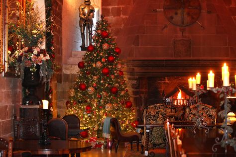 It's looking a lot like Christmas at Borthwick Castle in the Scottish Borders. Borthwick Castle, Scotland Christmas, Christmas Castle, Scottish Christmas, Castle Christmas, Scottish Countryside, Scottish Borders, Castles In Scotland, Scotland Castles