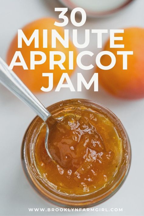 Canning Instructions, Refrigerator Jam, Fresh Apricots, Apricot Jam Recipes, Easy Canning, Apricot Recipes, Fresh Fruit Recipes, Peach Jam, Jam And Jelly