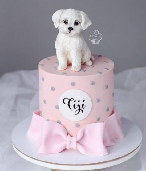 Dog Lover Cake, Dog Birthday Pictures, Puppy Dog Cakes, Pet Cake, Charlotte Cake, Dog Cupcakes, Queen Cakes, Girly Cakes, Puppy Cake