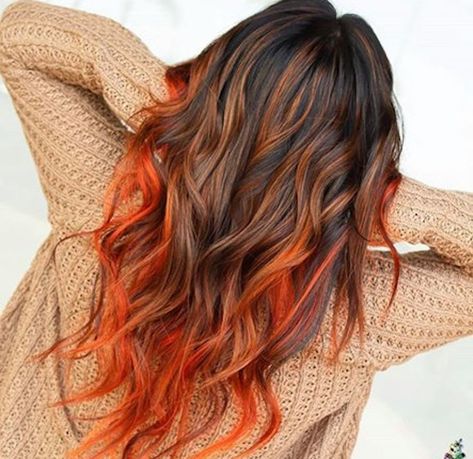 Hidden Sunset Hair, Vivid Color Hair, Hair Colors For Winter, Fire Ombre Hair, Orange Ombre Hair, Pumpkin Hair, Fire Hair, Vivid Hair Color, Peekaboo Hair