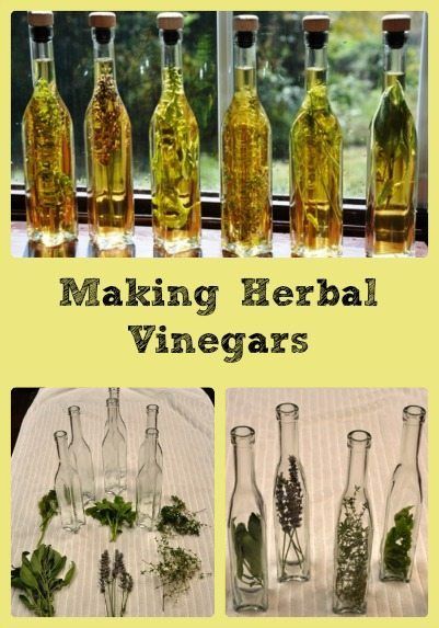 Making Flavored Vinegars, Packaging Fresh Herbs For Sale, Flavored Vinegar Recipes, Infused Vinegar Recipes, Seasoned Vinegar, Herbal Vinegars, Infused Oil Recipes, Diy Extracts, Herbal Vinegar