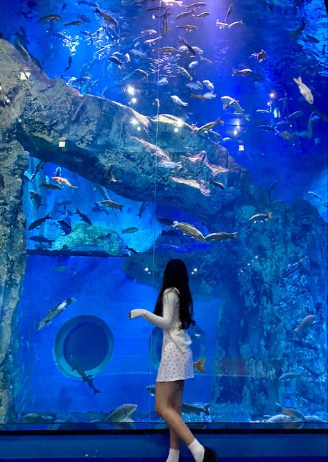 Aquarium Date Outfit Ideas, Aquariums Aesthetic, Aquarium Aesthetic Outfit, Aquarium Photo Ideas, Cute Aquarium Outfit, Aquarium Instagram Pictures, Aquarium Fits, Aquarium Date Outfit, Aquarium Outfit Ideas