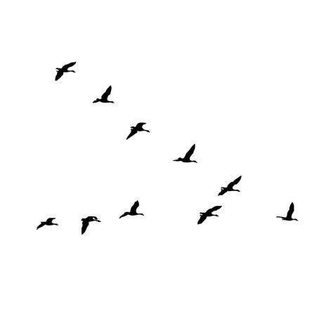 Flock of geese flying in V silhouette wall decals

Add a touch of nature to your home with these beautiful wall decals. The flock of geese will look stunning in any room, and they're sure to bring a smile to your face every time you see them.

#walldecals #geese . #Bird_Tattoos #Crane_Drawing #Goose_Tattoo #Geese_Flying Flock Of Geese Tattoo, Flock Of Birds Drawing, Flying Geese Tattoo, Geese Tattoo, Crane Drawing, Goose Tattoo, Custom Hard Hats, Geese Flying, Custom Car Stickers