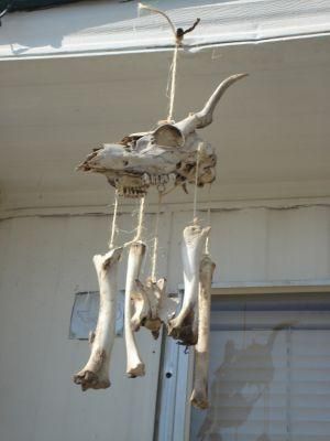 Bone Windchimes, Taxidermy Art, Bone Crafts, Vulture Culture, Animal Skull, Goblin Core, Bone Art, Southern Gothic, Animal Bones