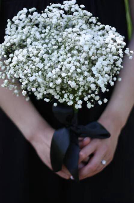 Bouquet With Black Ribbon, White Bridal Flowers, Brides Flowers Bouquet, Gypsophila Bouquet, Smith Wedding, Flower Girl Bouquet, Ribbon Bouquet, Baby Breath, Baby S Breath