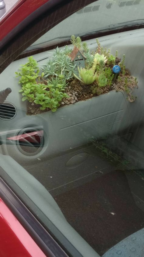 Someone made a little succulent garden inside of their car in the dashboard - 9GAG Car Interior Diy, Hippie Car, Inside Car, Car Deco, Cute Car Accessories, Car Inspiration, Car Mods, Car Hacks, Pretty Cars