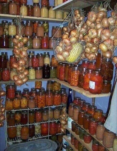 Food Storage Rooms, Food Storage Shelves, Canning Food Preservation, Canned Food Storage, Trendy Food, Root Cellar, Homestead Living, Cold Room, Home Canning