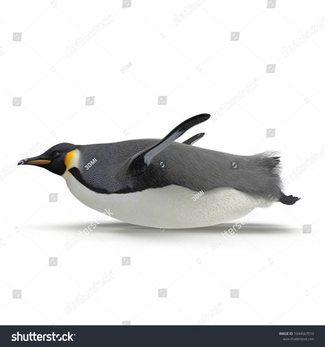 Emperor penguin sliding. isolated on white. Side view. 3D illustrationsliding#isolated#Emperor#penguin Penguin Sliding, Inktober 2024, Animal Reference, Emperor Penguin, Art Jokes, Business Cards Creative Templates, Business Cards Creative, Side View, Card Templates