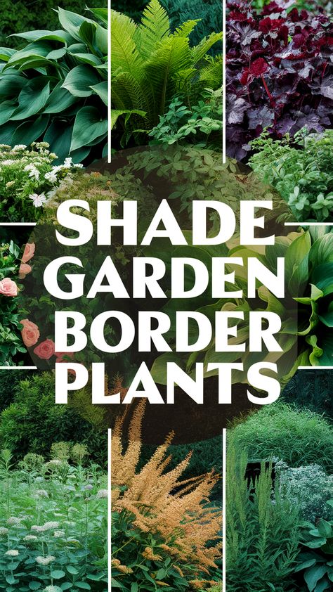 Create stunning shade garden borders without breaking a sweat! Get expert tips and top picks for gorgeous plants that thrive in partial sun. Tap this pin now to save for later and transform your outdoor space! Garden Border Plants, Gorgeous Plants, Garden Border, Border Plants, Garden Borders, Shade Garden, Save For Later, Outdoor Space, Borders