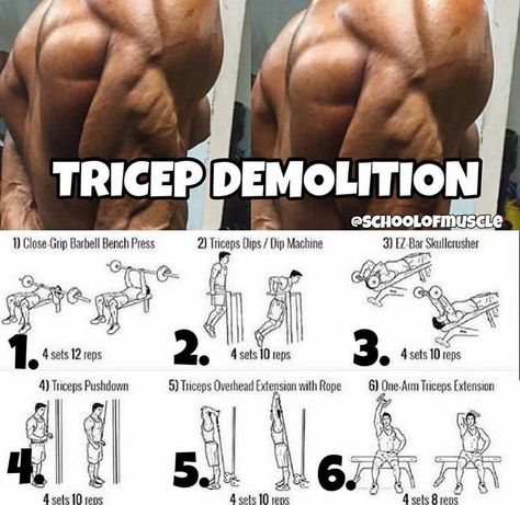 Triceps workout Gym Workout Routine, Tricep Workout, Home Gym Workout, Work Out Routines Gym, Best Workouts, Ideal Body Weight, Gym Workouts For Men, Biceps And Triceps, Weight Training Workouts